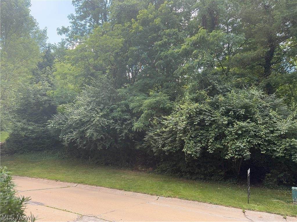  Belleau Wood Drive - Photo 1