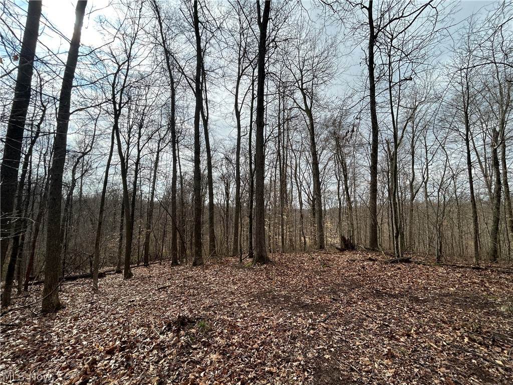  Wilbur Bush Road - Photo 1