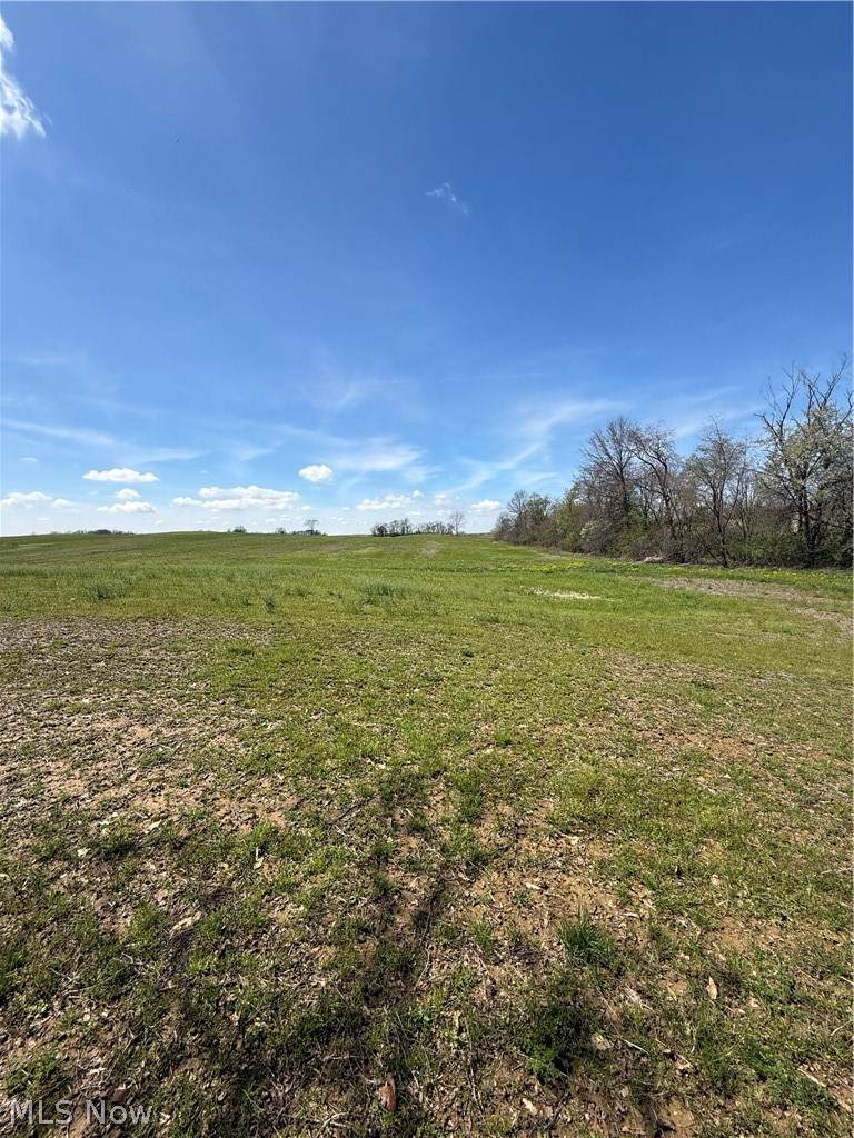  V/L Black Diamond Road - Photo 1