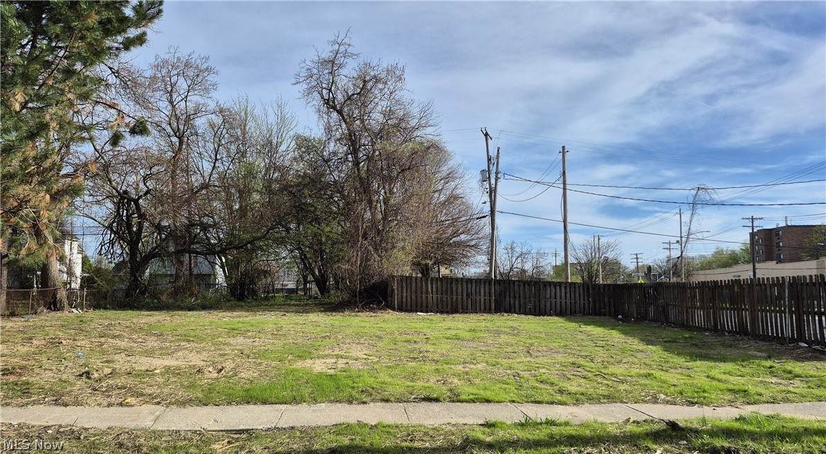 10510 Olivet Avenue - Photo 1