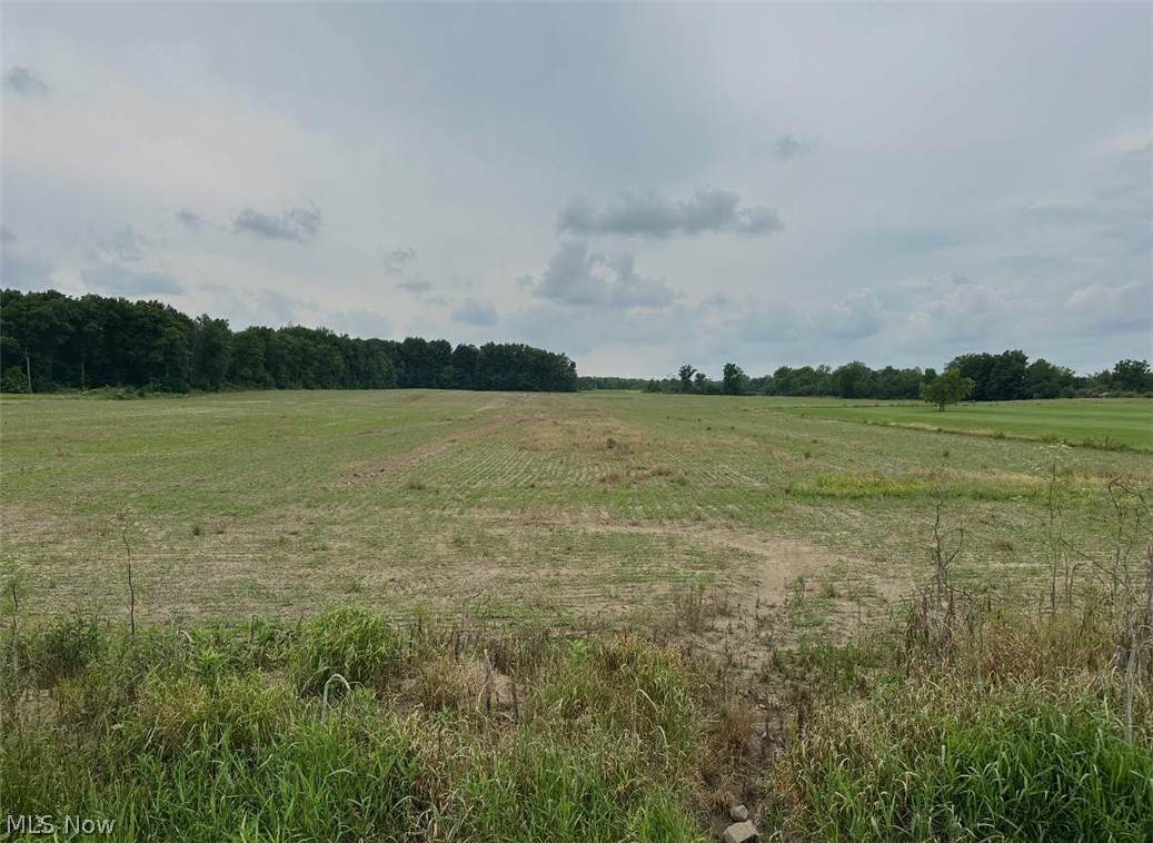 568 Co Rd 175 - Photo 1