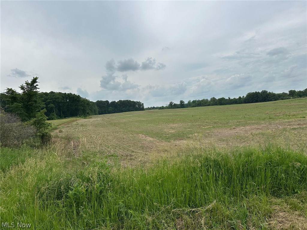 570 Co Rd 175 - Photo 1