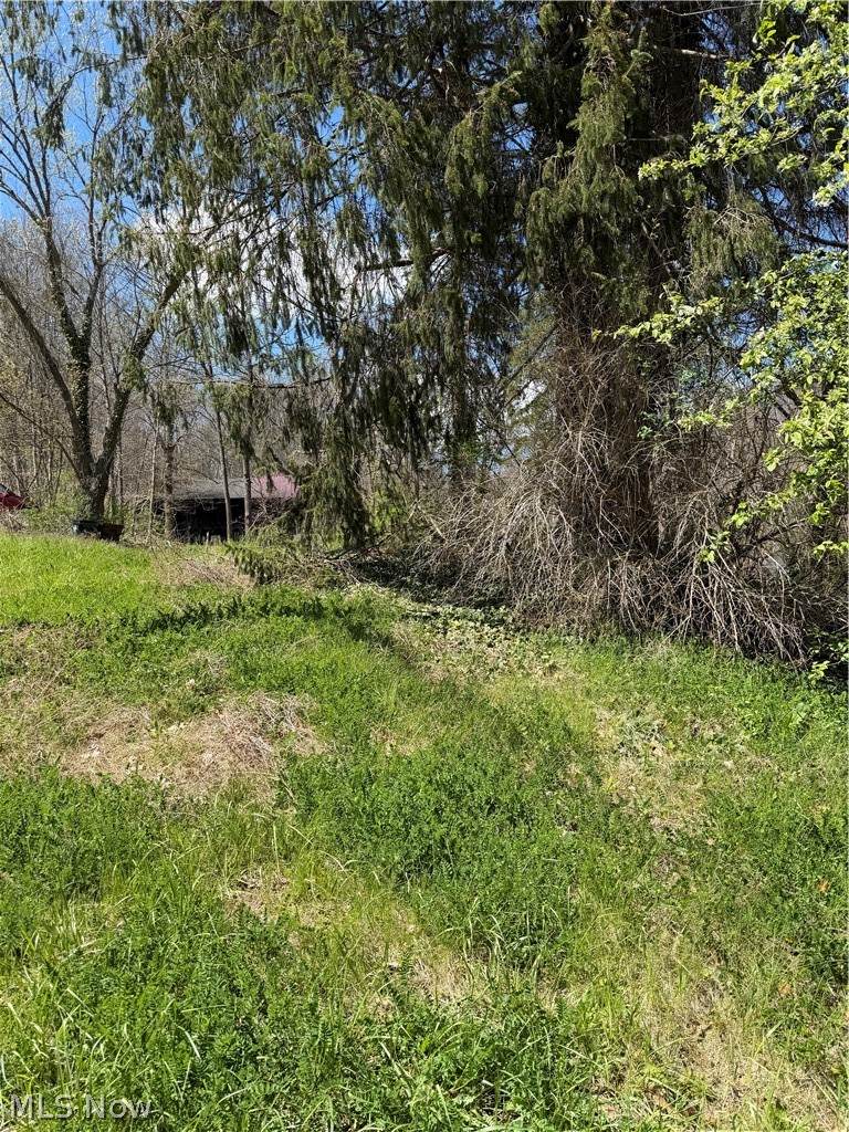2615 Yellow Creek Road - Photo 1