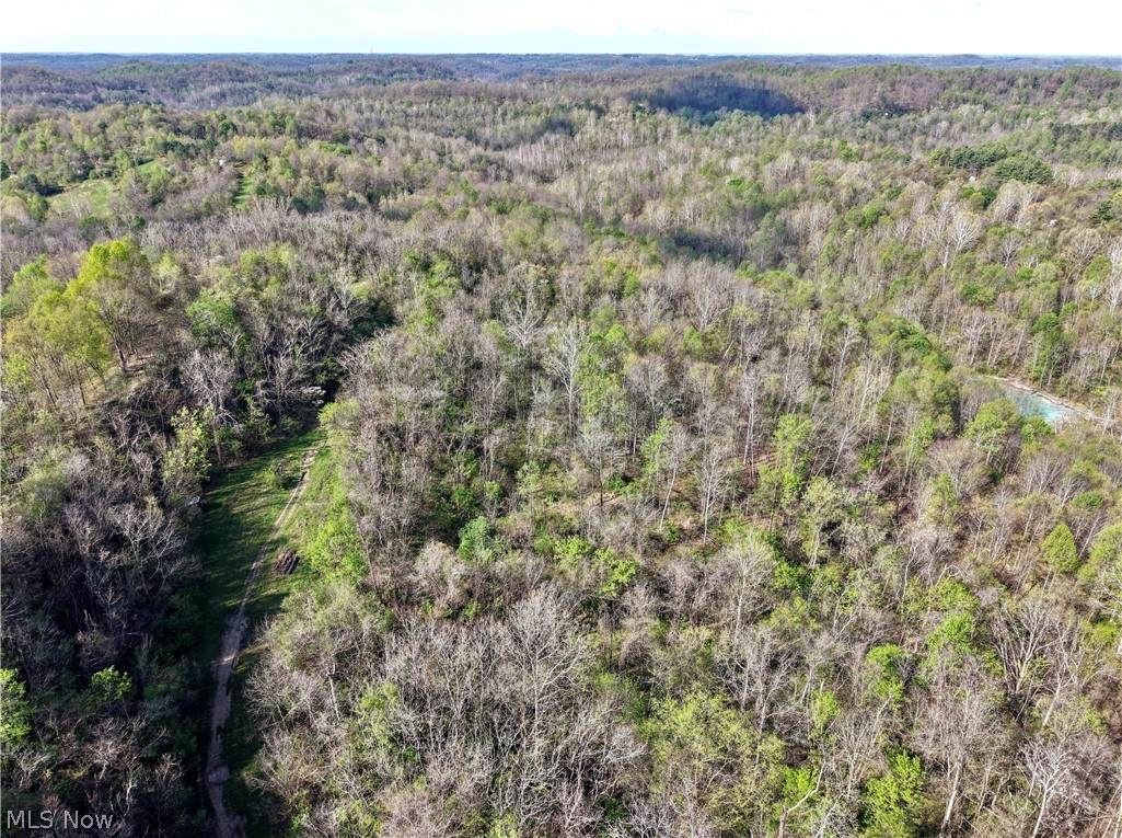 0 Harrons Ridge Road - Photo 1