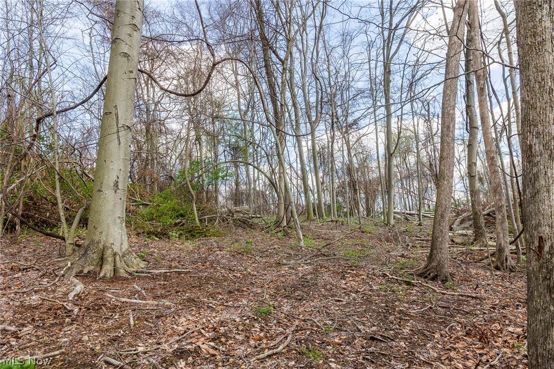 105 Hanley Road - Photo 1