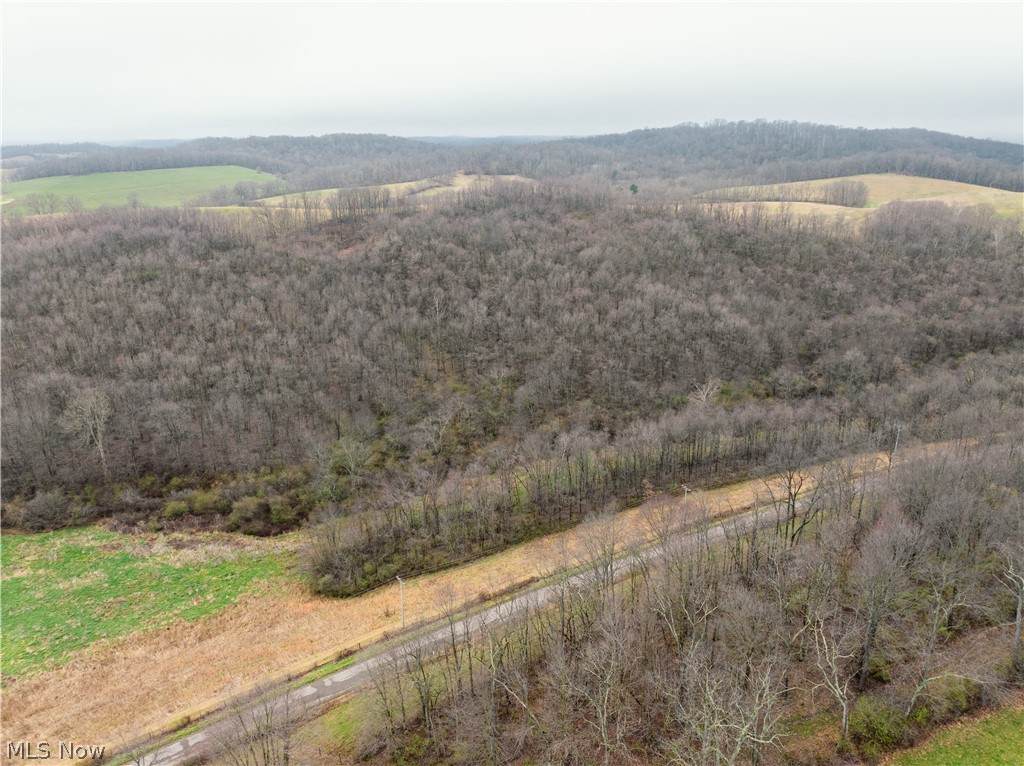  Buck Hill Road - Photo 1