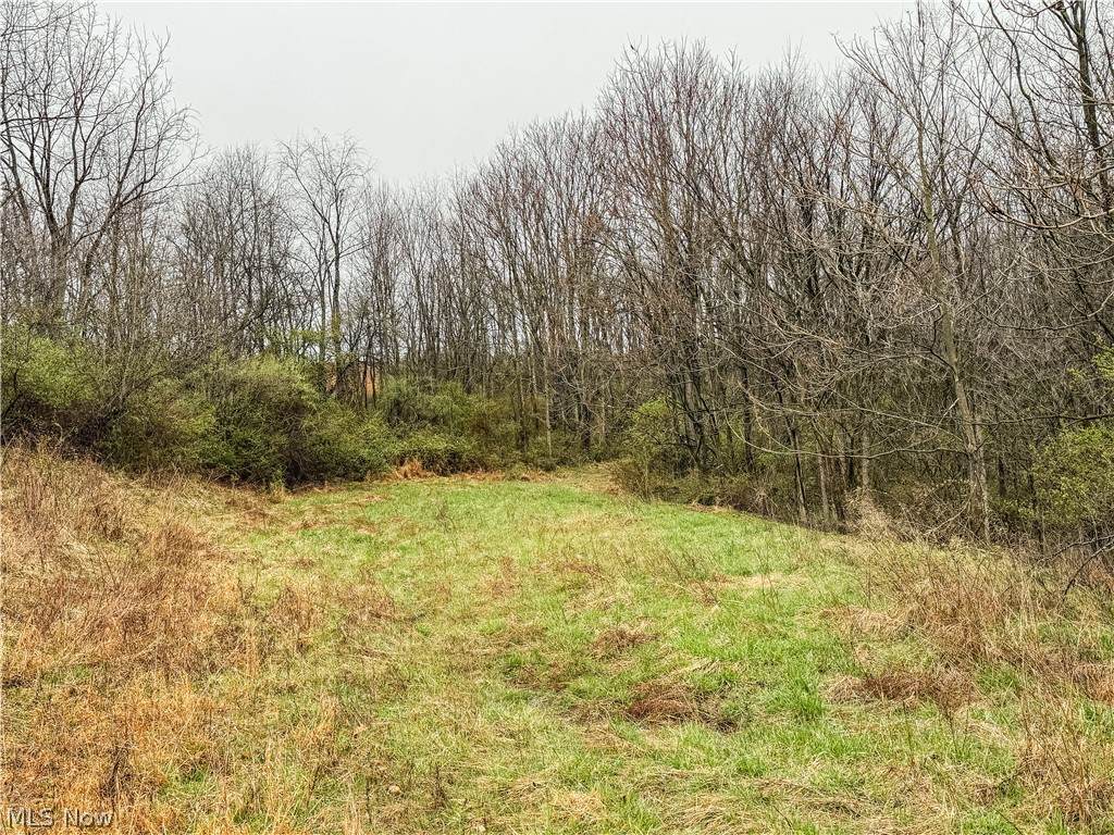 https://bt-photos.global.ssl.fastly.net/normls/orig_boomver_1_5203926-2.jpg