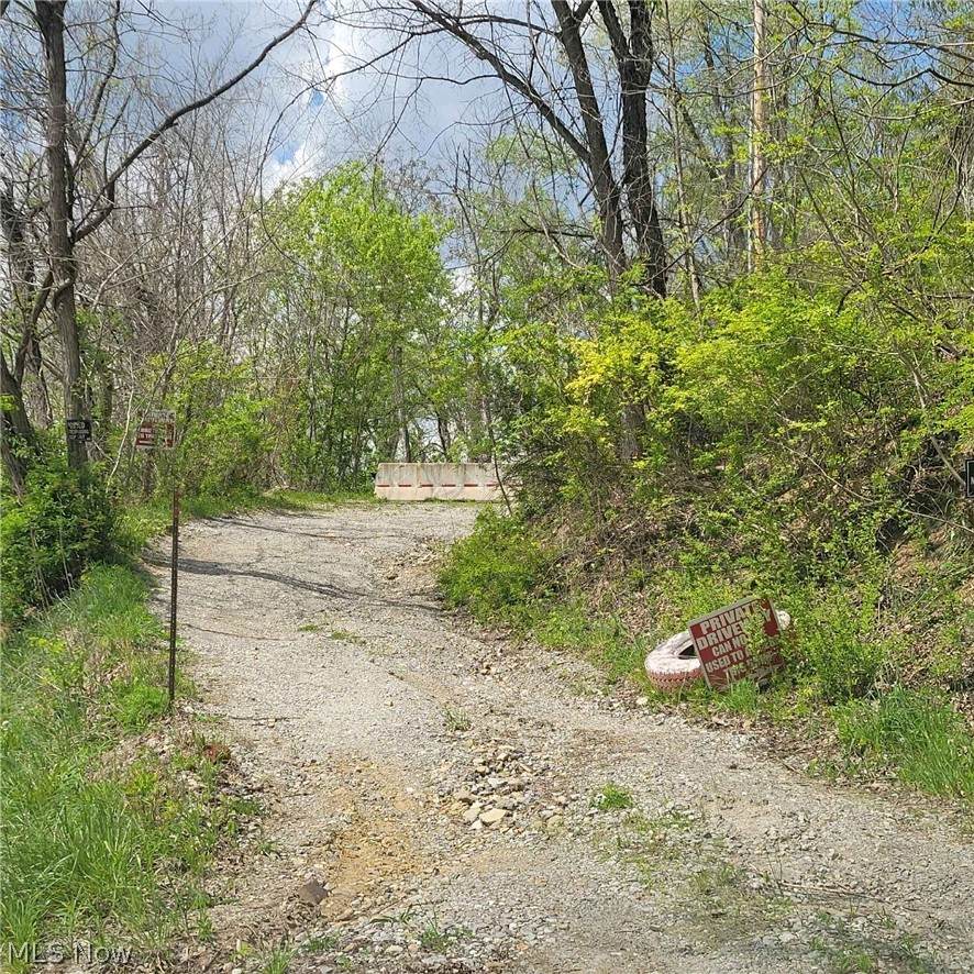 70471 Mount Pleasant Pike - Photo 1