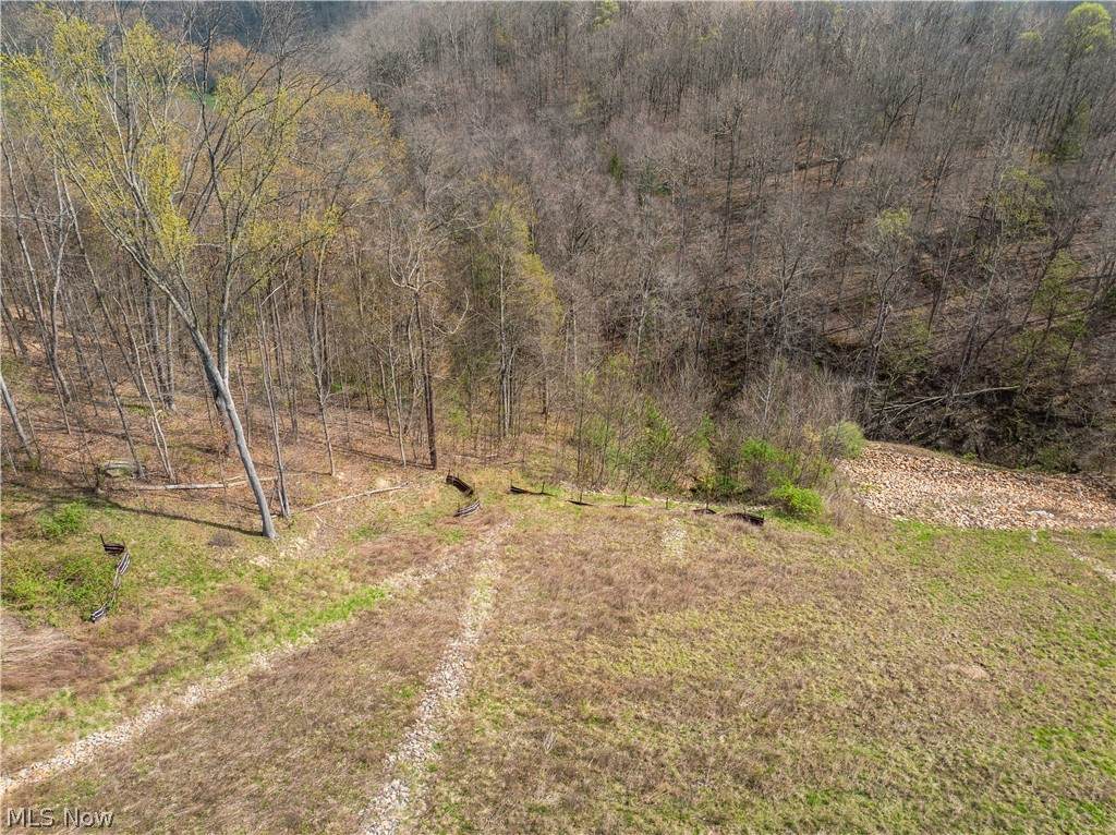  Captina Highway Road - Photo 1