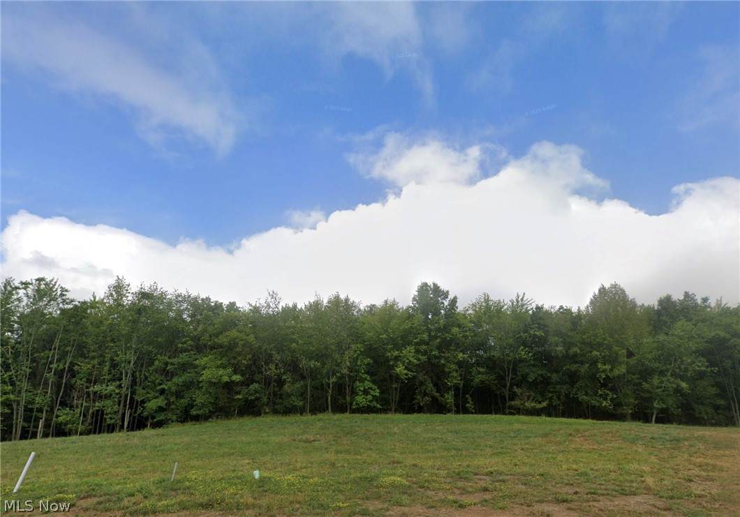 1334 Shiloh Run - Photo 1