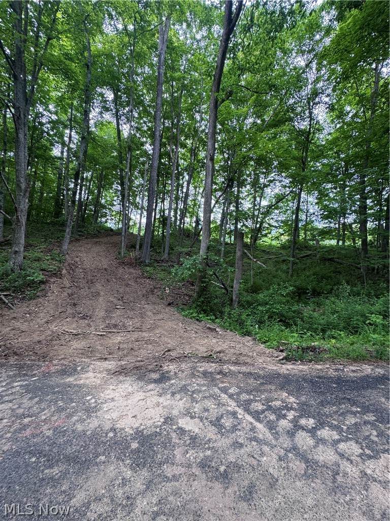  Walker Hill Road - Photo 1