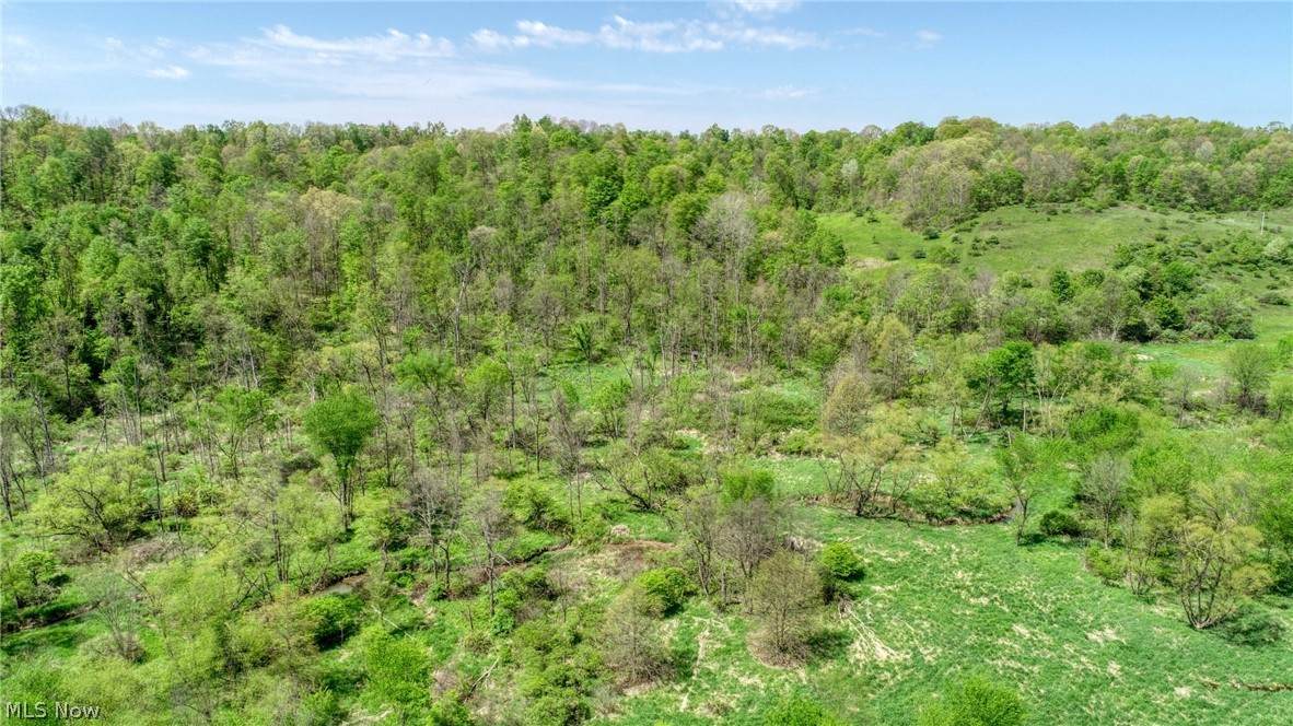 6820 Crane Run Road - Photo 1