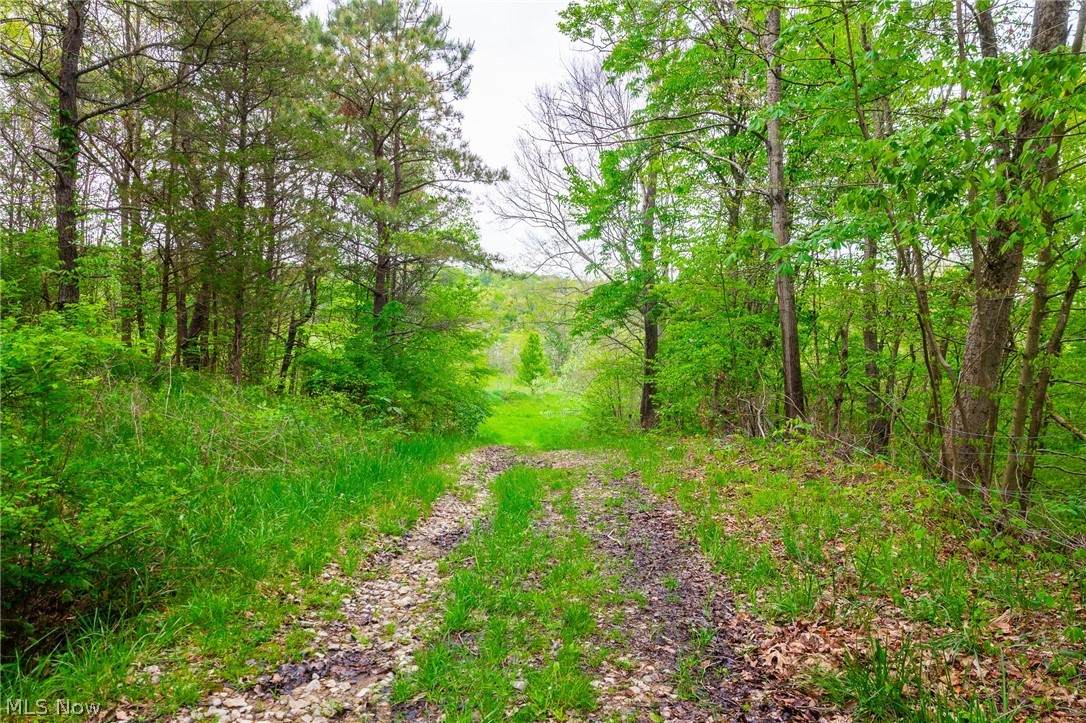 60936 Patch Road - Photo 1
