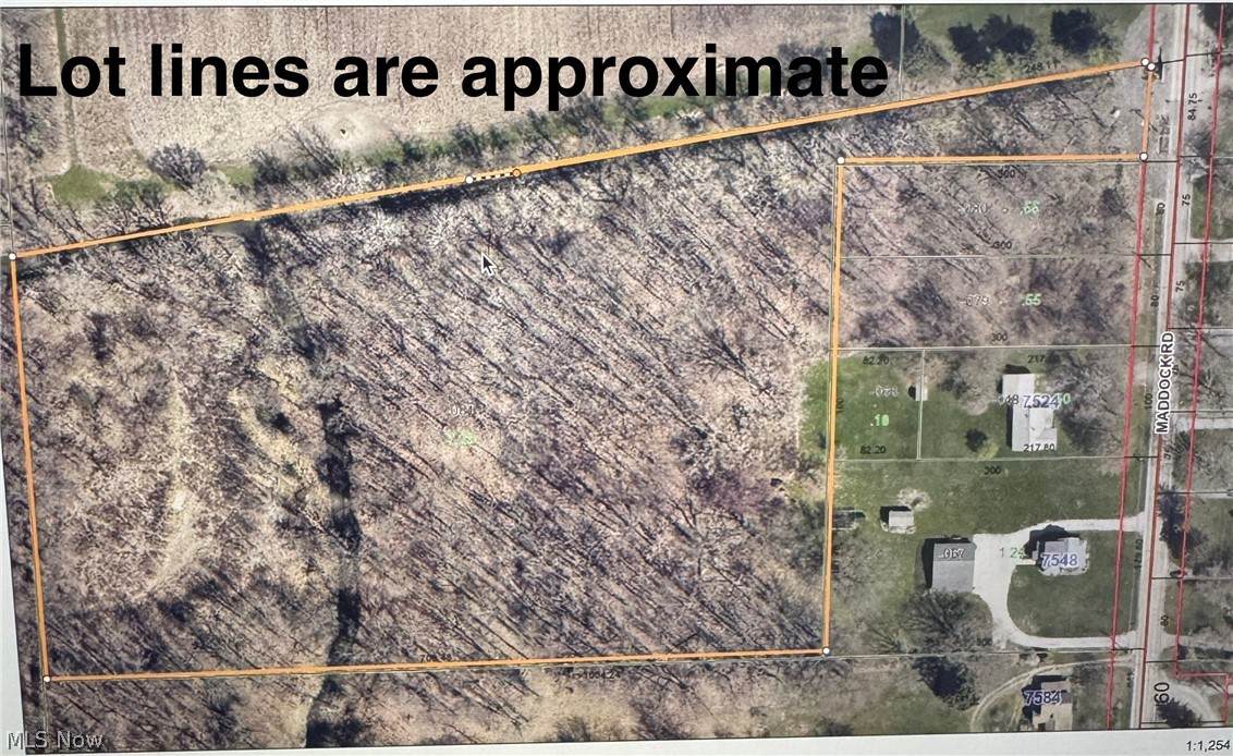 Lot E Maddock Road - Photo 1