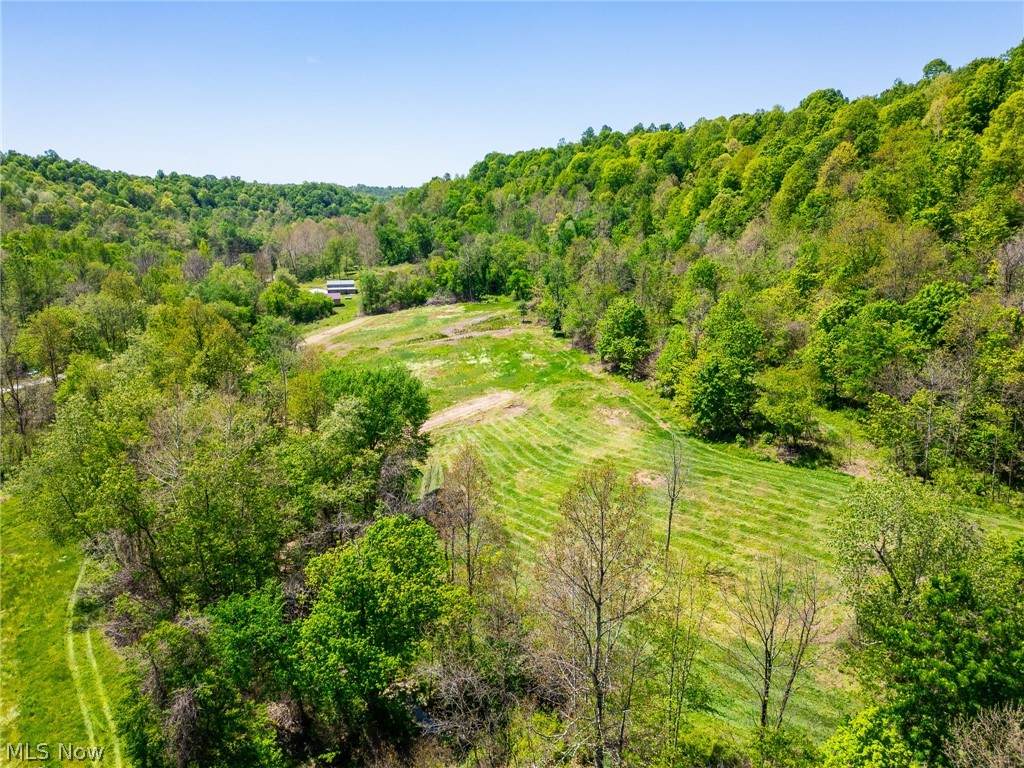 37500 Goose Run Road - Photo 1