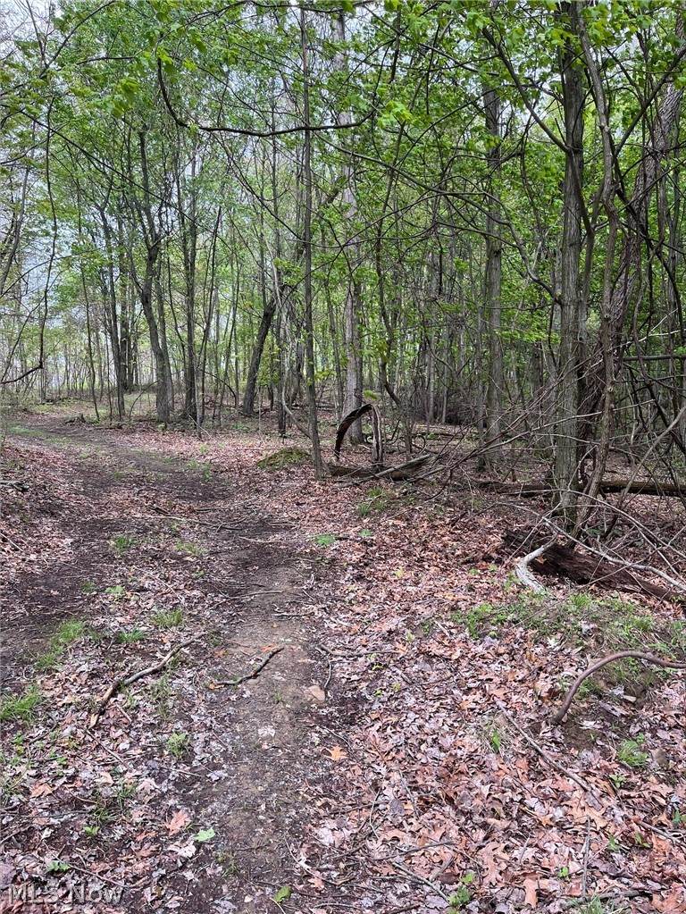  Sandy Ridge Road - Photo 1