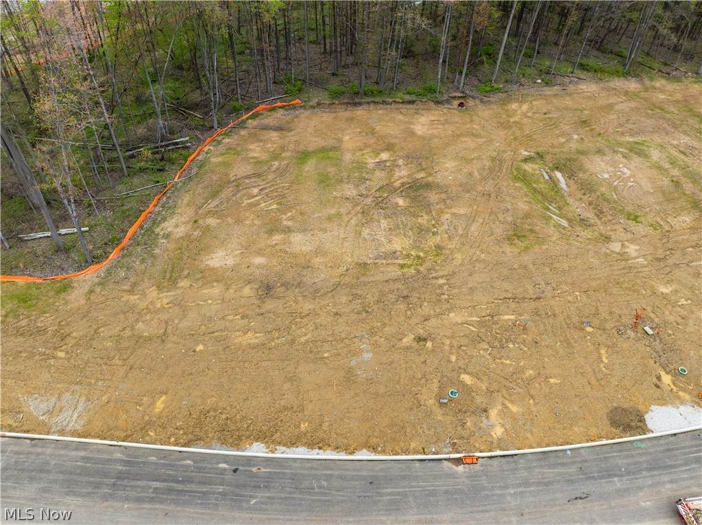 9524 River Birch Run - Photo 1