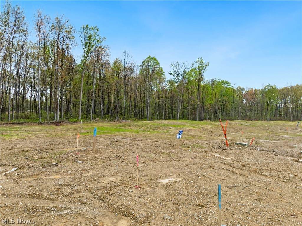 9525 River Birch Run - Photo 1