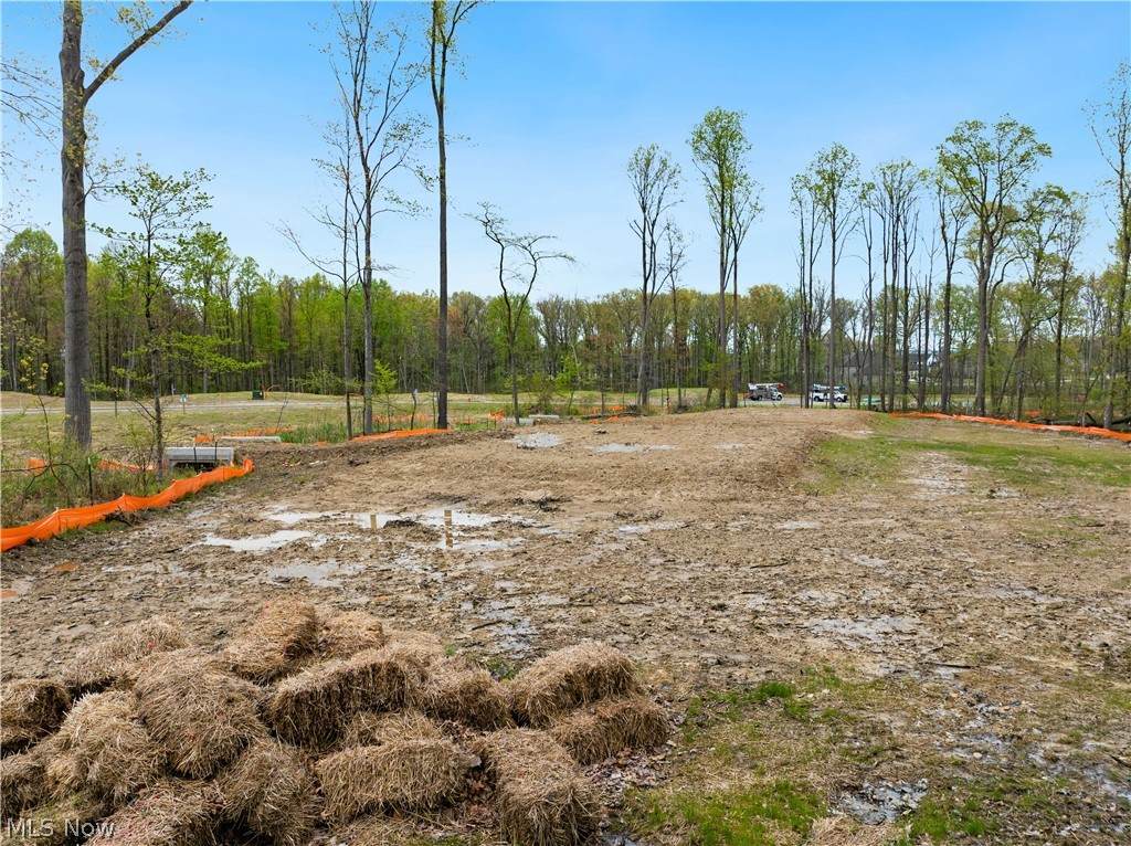 9526 River Birch Run - Photo 1