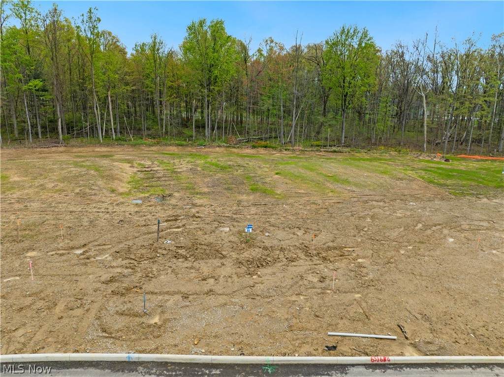 9531 River Birch Run - Photo 1