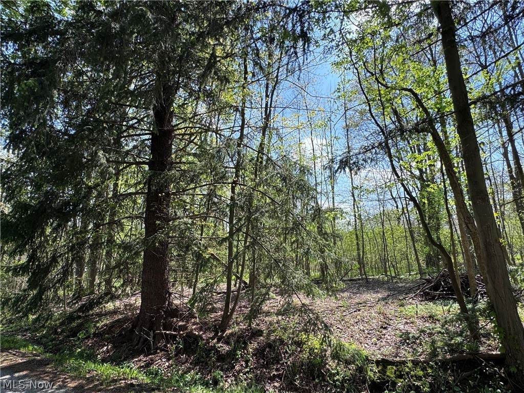 11664 Chestnutdale Road - Photo 1