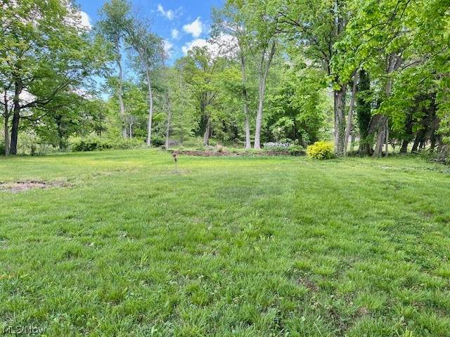2062 Dupont Road - Photo 1