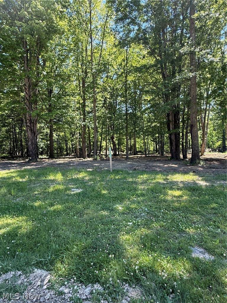 46 Breezewood Lane - Photo 1