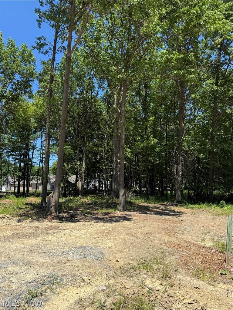 48 Breezewood Lane - Photo 1