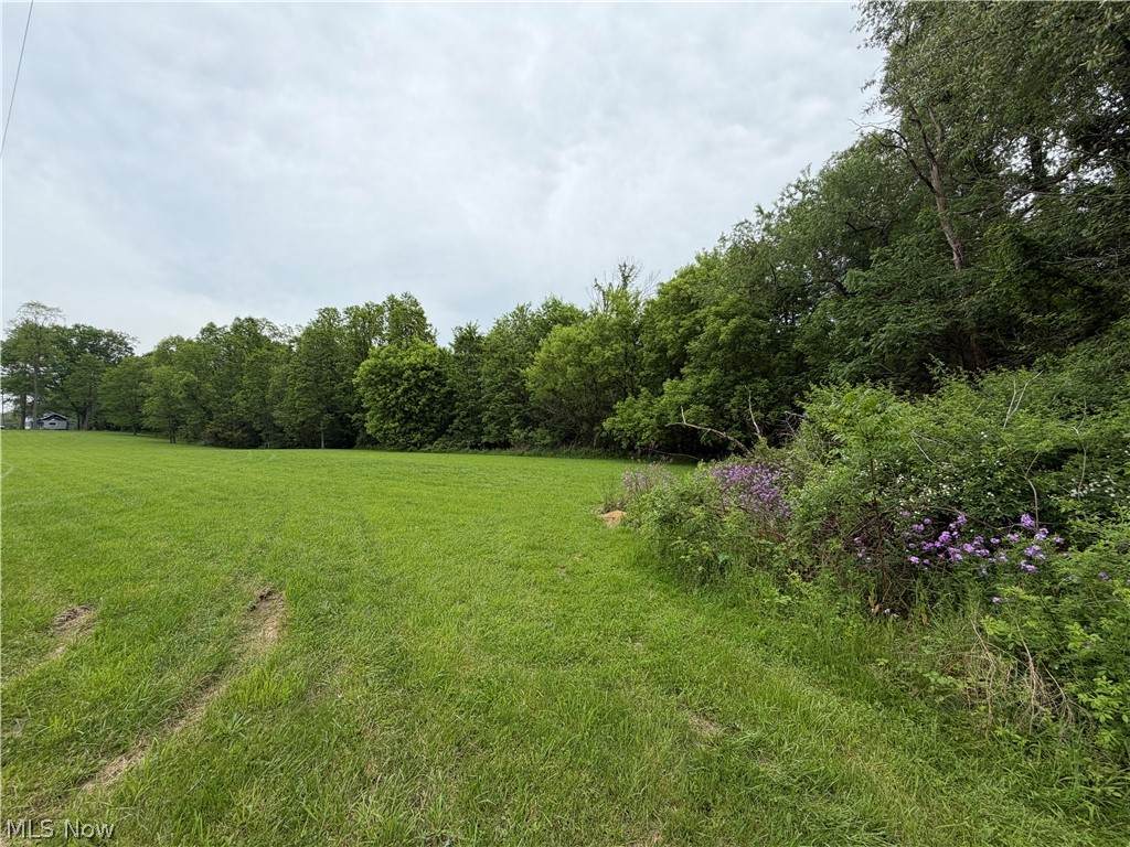 9098 Diagonal Road - Photo 1
