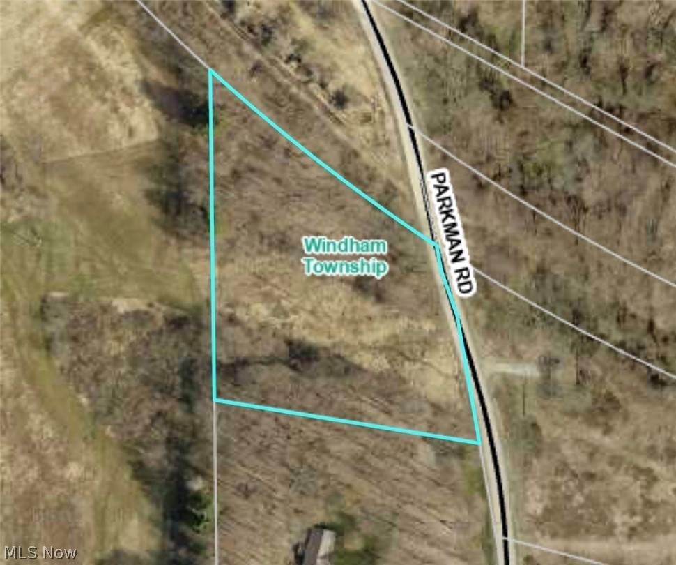 V-L Parkman Road - Photo 1