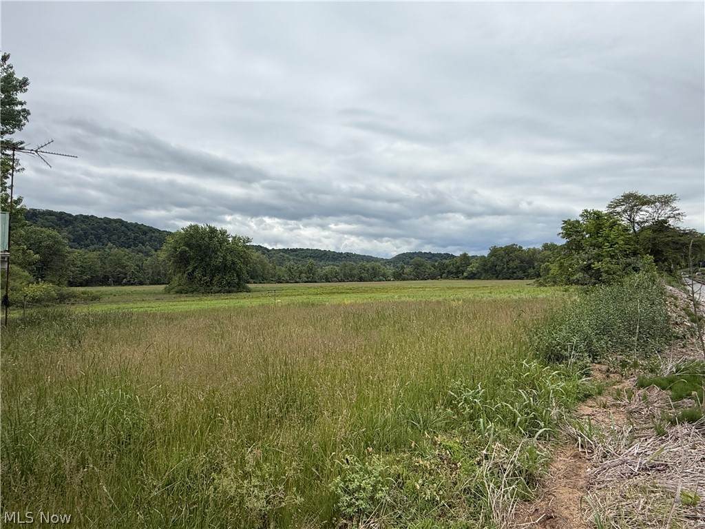  Pleasants Highway - Photo 1