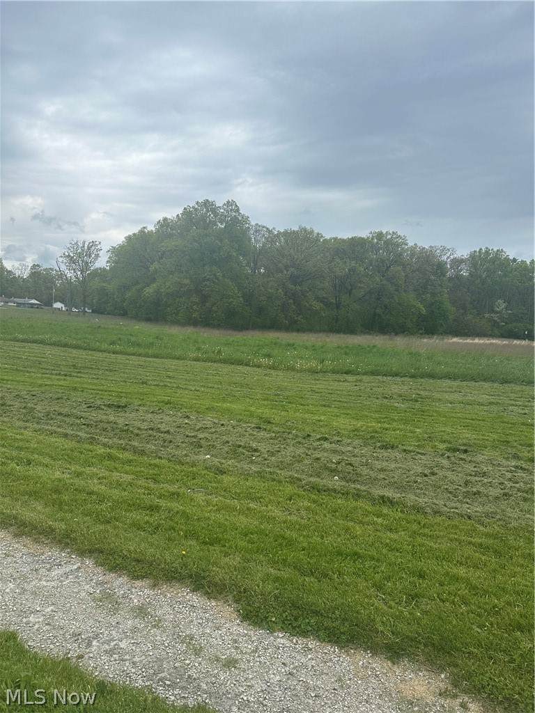  Maple Avenue - Photo 1