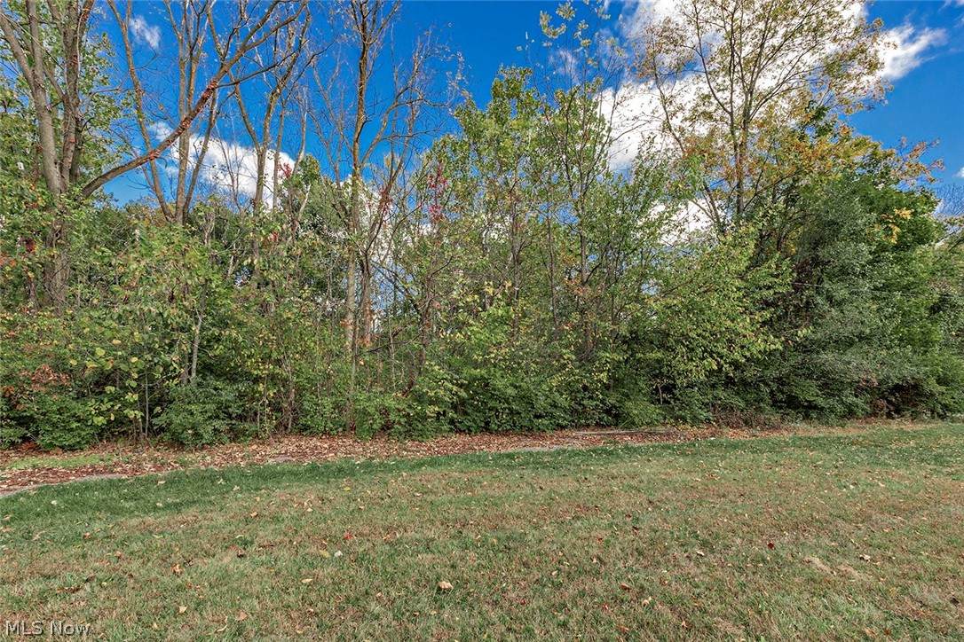V/L Usher Road - Photo 1