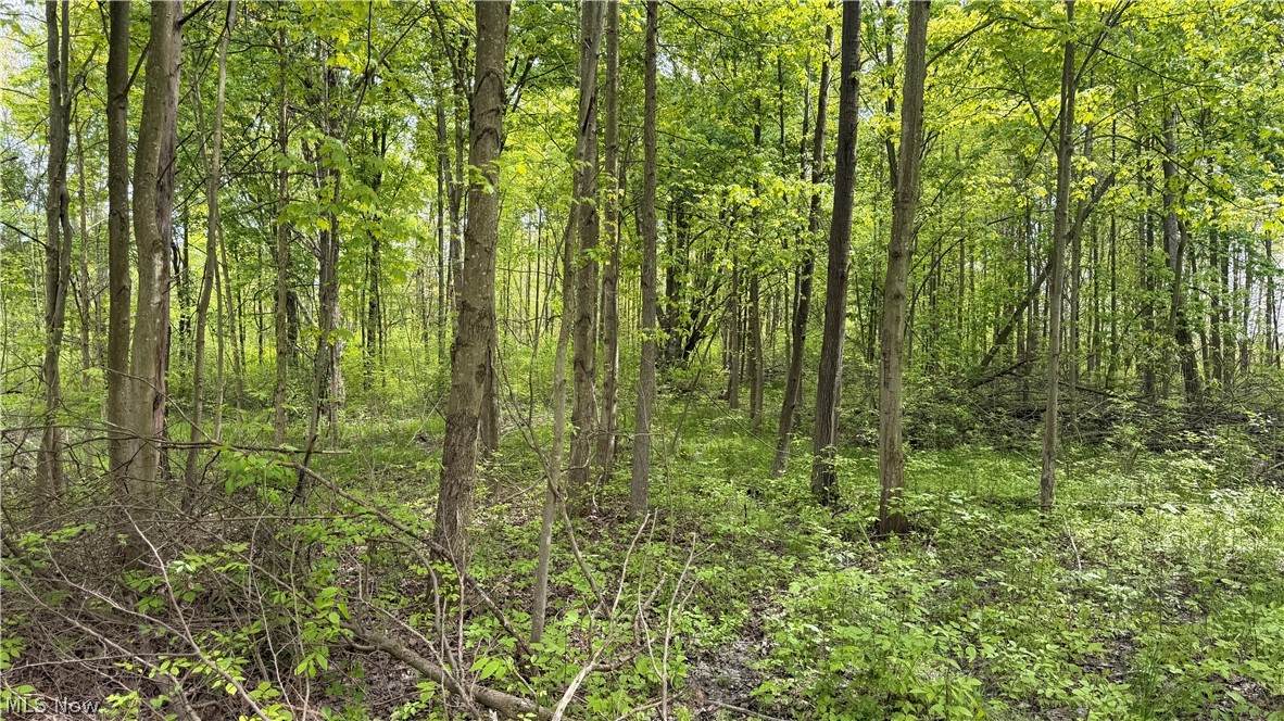  Youngstown Kingsville Road - Photo 1