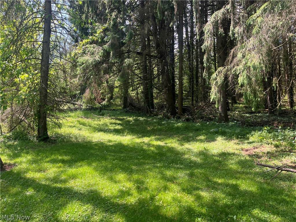  High Mill Avenue - Photo 1