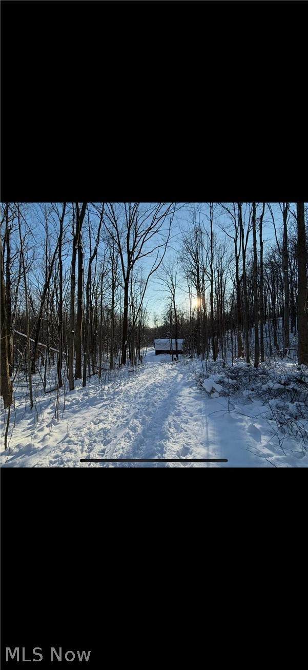 0 Winterberry Lane - Photo 1