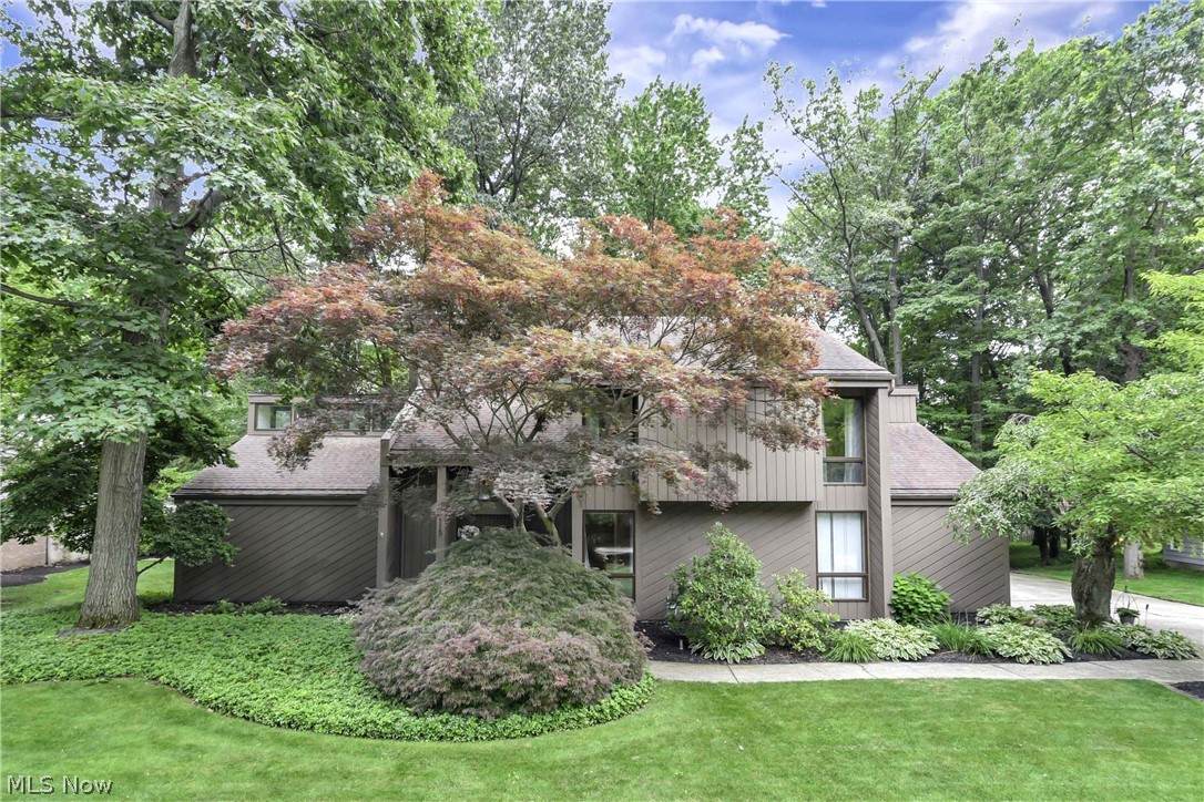 31115 Roxbury Park Drive - Photo 1