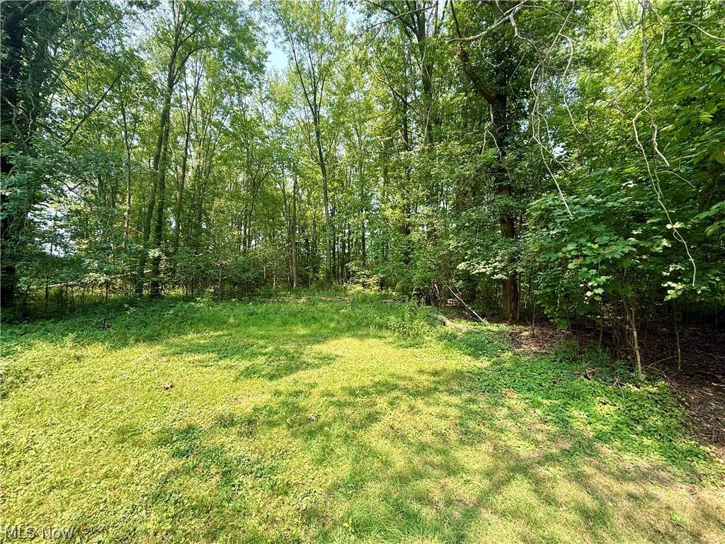 27264 Sprague Road - Photo 1