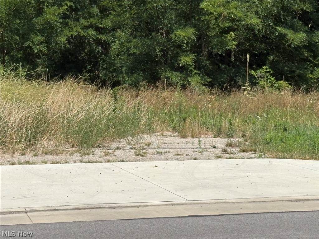 5395 Ridge Road - Photo 1