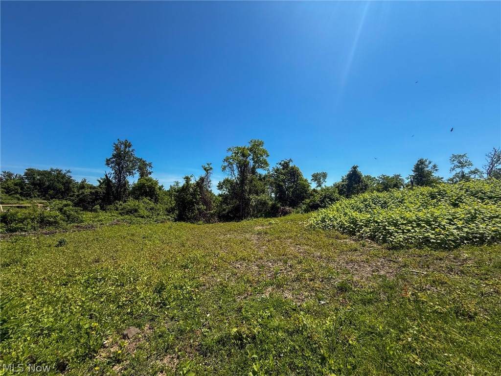 Lot 3 Altamont Rd - Photo 1