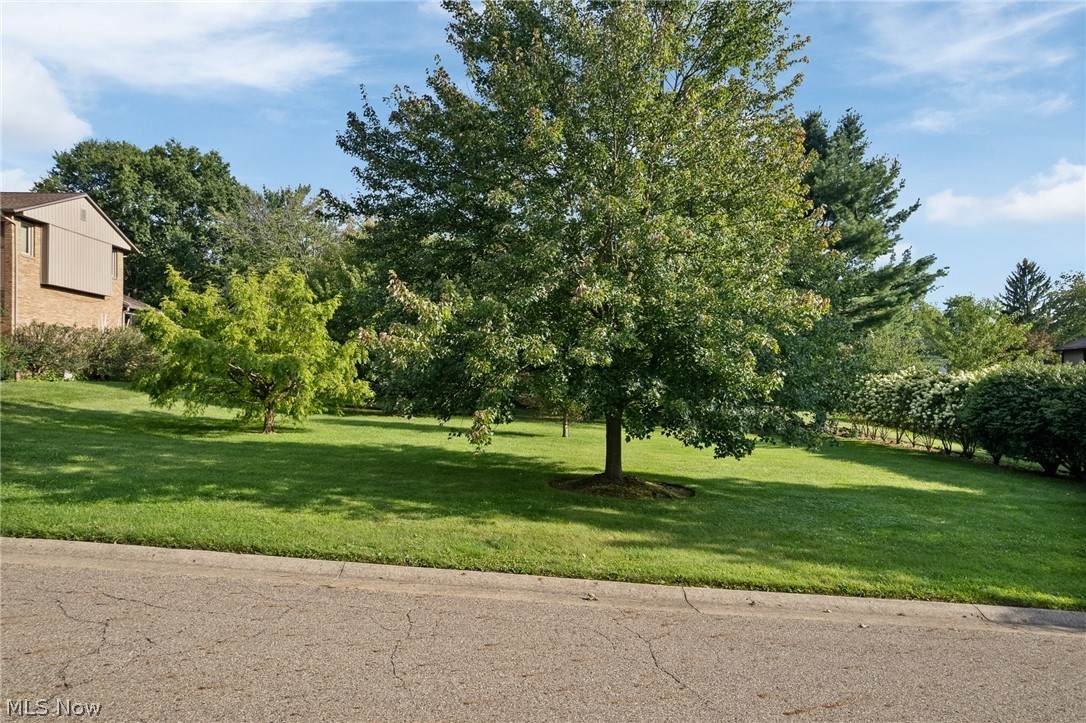 2317 Raintree Street - Photo 1