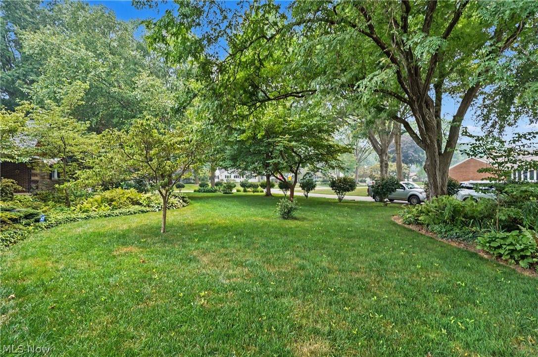 https://bt-photos.global.ssl.fastly.net/normls/orig_boomver_1_5240070-2.jpg