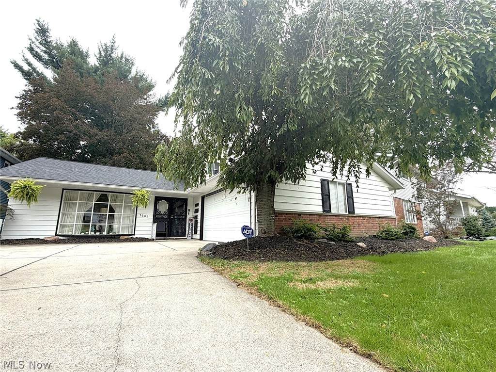 4602 Whitehall Drive - Photo 1