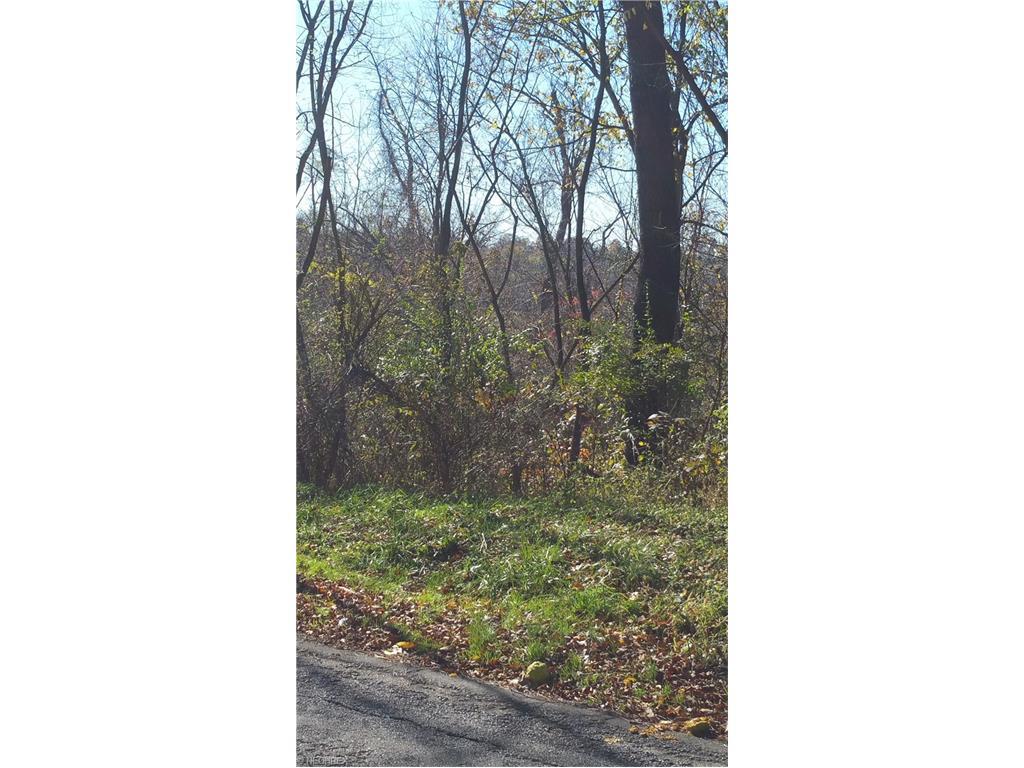 0 Watson Rd - Photo 1