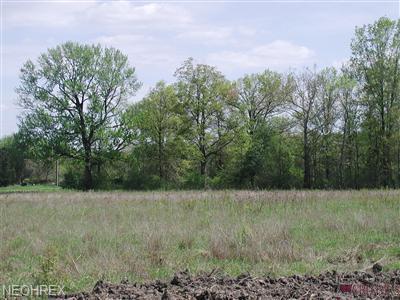 17555 Whitney Rd - Photo 1
