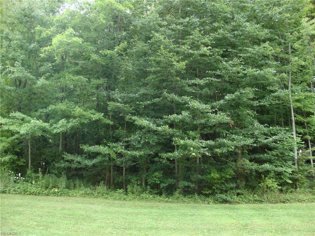Harper Valley Ln - Photo 1