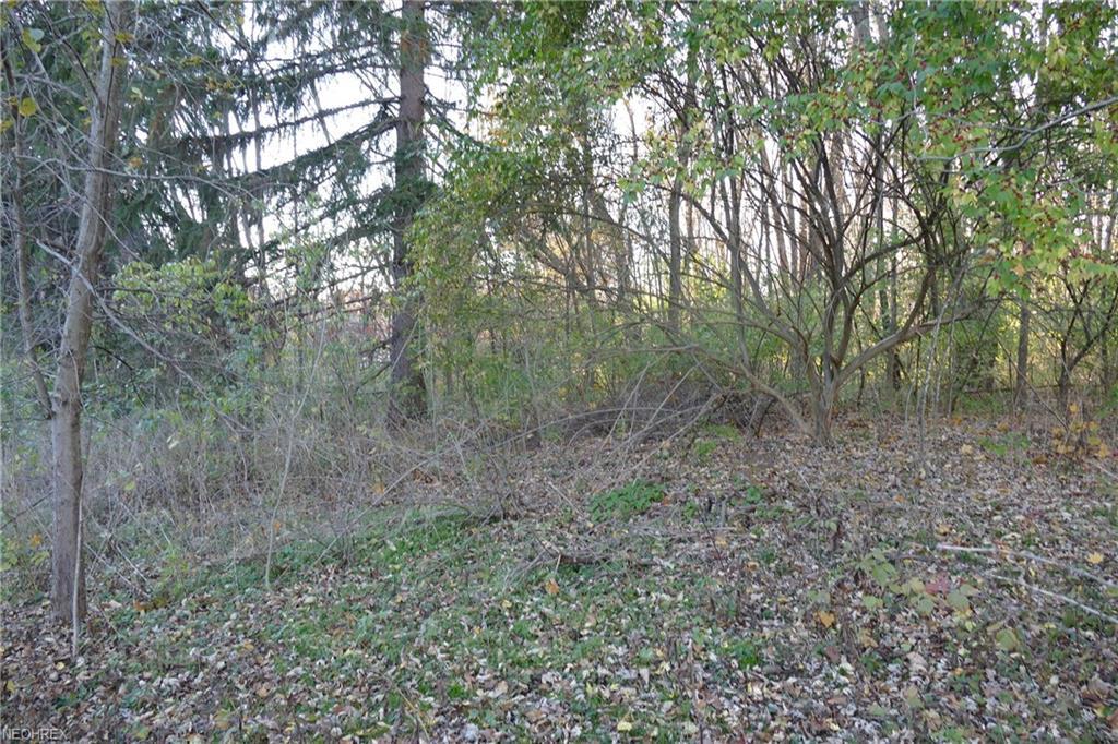2531 Sharon Copley Rd - Photo 1