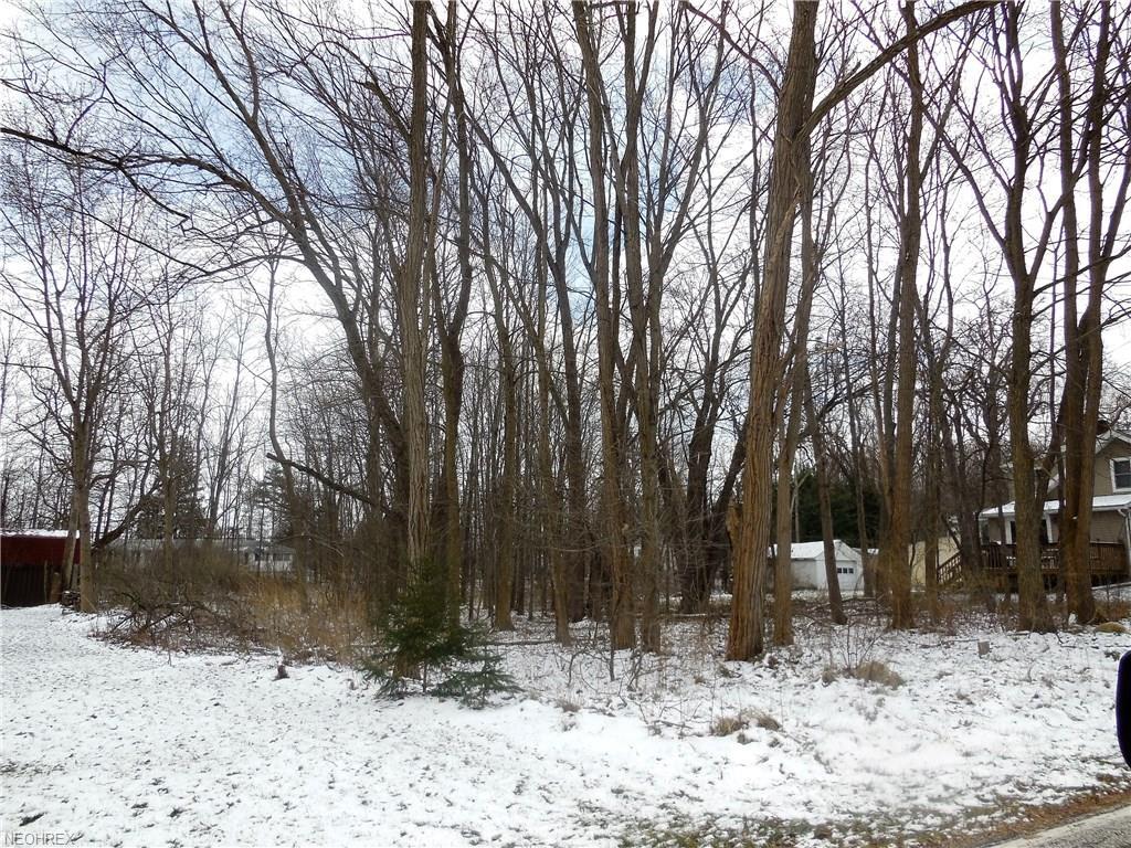 Geauga St - Photo 1
