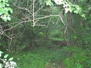 Vacant Lot #43 Edgemoor Ave - Photo 1