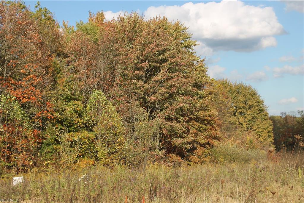 Lot #30 7053 Village Way Dr - Photo 1